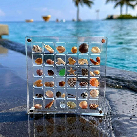 36/64/100Grid Acrylic Magnetic Seashell Display Box Beads Organizer Art DIY Crafts Jewelry Box Jewelry Box Case for Bead Jewelry