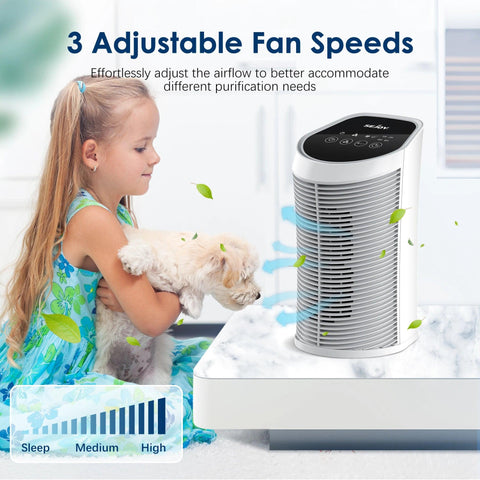 Air Purifier for Home with H13 True HEPA Air Filter Purifier ,Timing, Quiet,3 Gears Fans for Home Allergies,Smokers