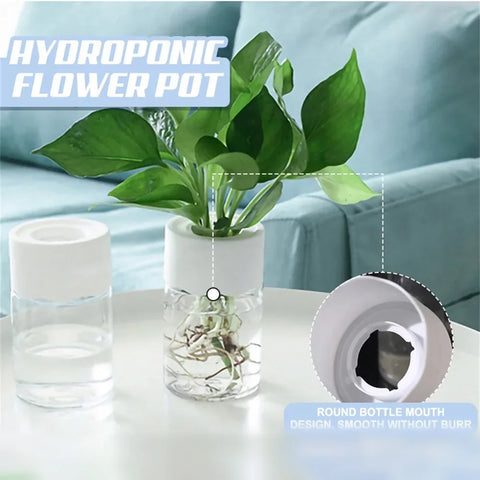 Mini Hydroponic Flower Pot Home Vase Decor Transparent Imitation Glass Soilless Plant Pots Green Plants Pot For Home Decoration