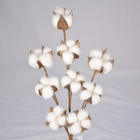 2 pcs Artificial Cotton Stems for Wreath Decor Craft Farmhouse Wedding Centerpiece Decor Home Decor