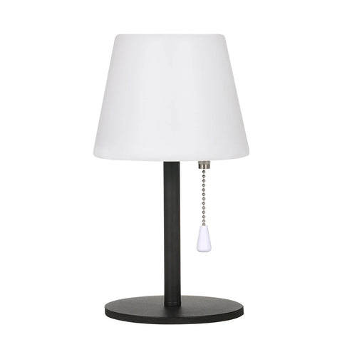 RGB Table Lamp Colorful Desk Light with Remote Controller Pull Chain Switch Bedside Lamp Reading Lamp USB Rechargeable