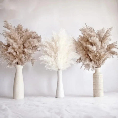 Pampas Grass Natural Dried Flowers Decor Bouquet Wedding Floral Arrangement Fluffy Reed Christmas Farmhouse Boho Home Decoration