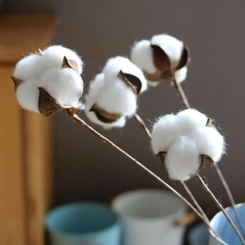 Naturally Dried Cotton Stems Home Wedding Table Decoration 10pcs/Set Dried Artificial Cotton Branch Flower Heads Room Decor