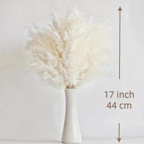 Pampas Grass Natural Dried Flowers Decor Bouquet Wedding Floral Arrangement Fluffy Reed Christmas Farmhouse Boho Home Decoration