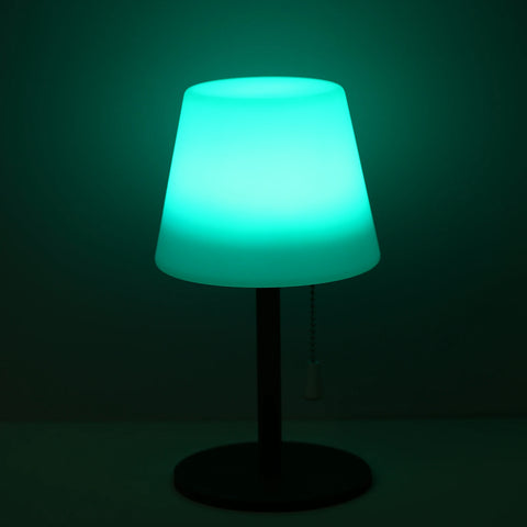 RGB Table Lamp Colorful Desk Light with Remote Controller Pull Chain Switch Bedside Lamp Reading Lamp USB Rechargeable