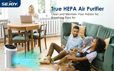 Air Purifier for Home with H13 True HEPA Air Filter Purifier ,Timing, Quiet,3 Gears Fans for Home Allergies,Smokers