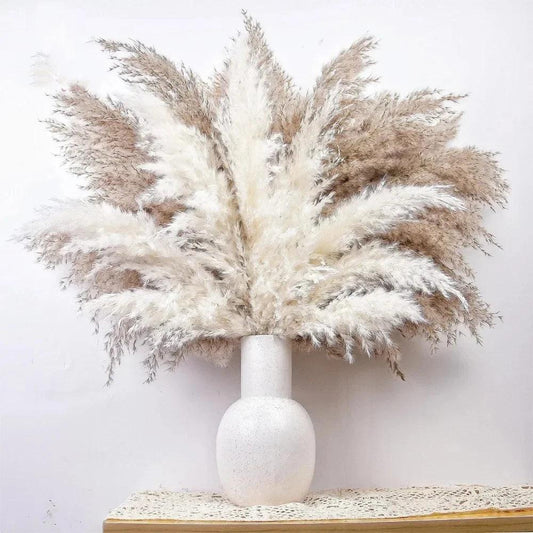 Pampas Grass Natural Dried Flowers Decor Bouquet Wedding Floral Arrangement Fluffy Reed Christmas Farmhouse Boho Home Decoration