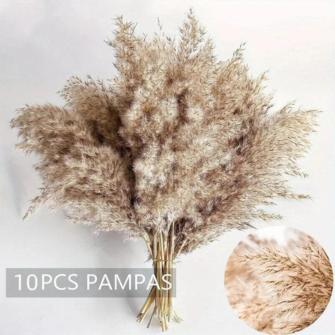 Pampas Grass Natural Dried Flowers Decor Bouquet Wedding Floral Arrangement Fluffy Reed Christmas Farmhouse Boho Home Decoration