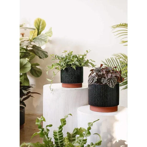 Ceramic Plant Pots with Drainage Holes, Set of 3, 8+6.5+5.5 Inch Stripe Garden Planter Pots for Outdoor Indoor Plants Flower